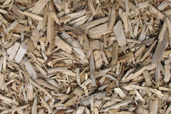 biomass boilers Carlton Scroop